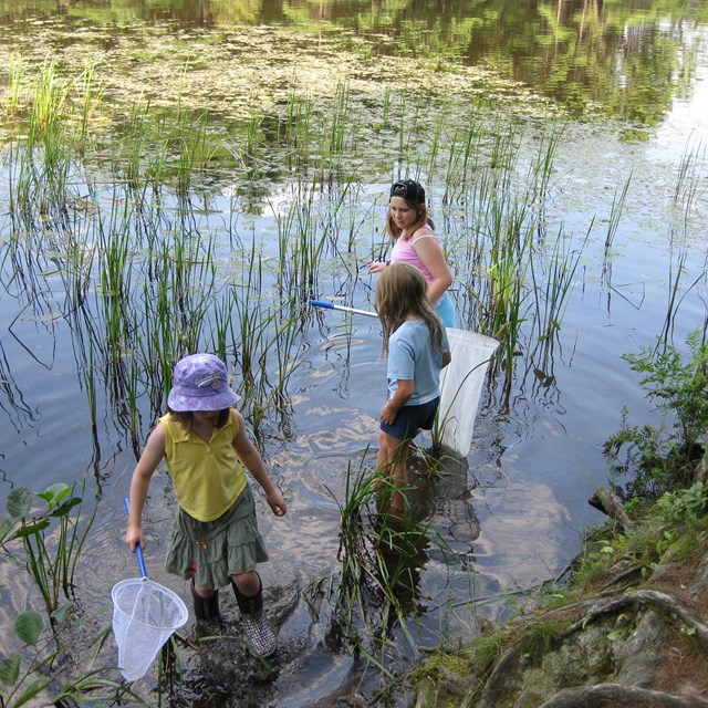 three people with nets in Lamprey River